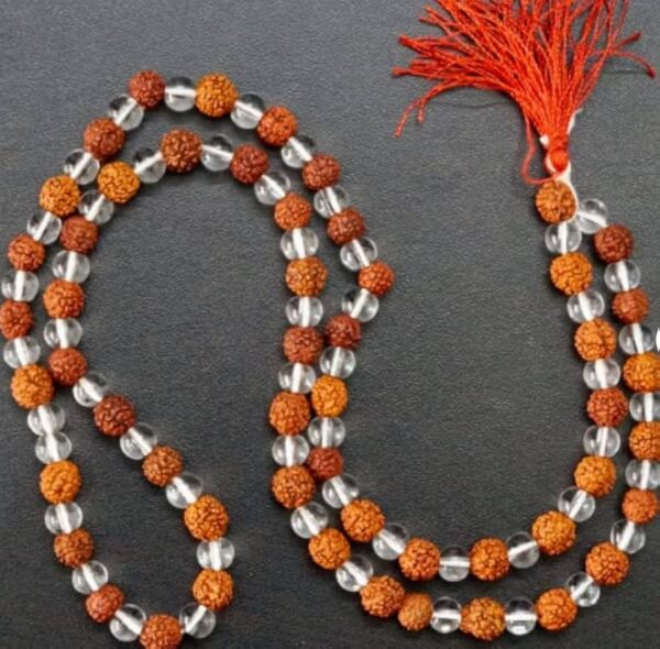 Laxmi Rudraksha Mala | Lab Certified - Image 4