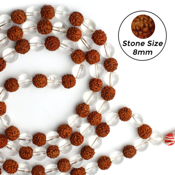 Laxmi Rudraksha Mala | Lab Certified - Image 2