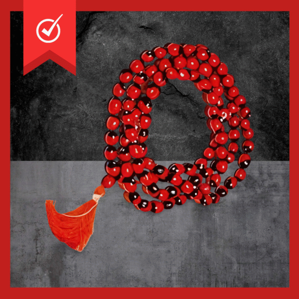 Rare Red Gunja Mala - Lal Rakt Chirmi