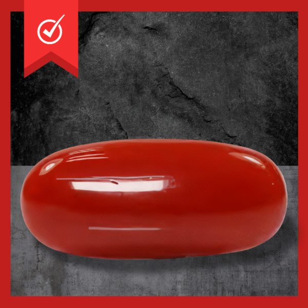Red Coral लाल मूंगा