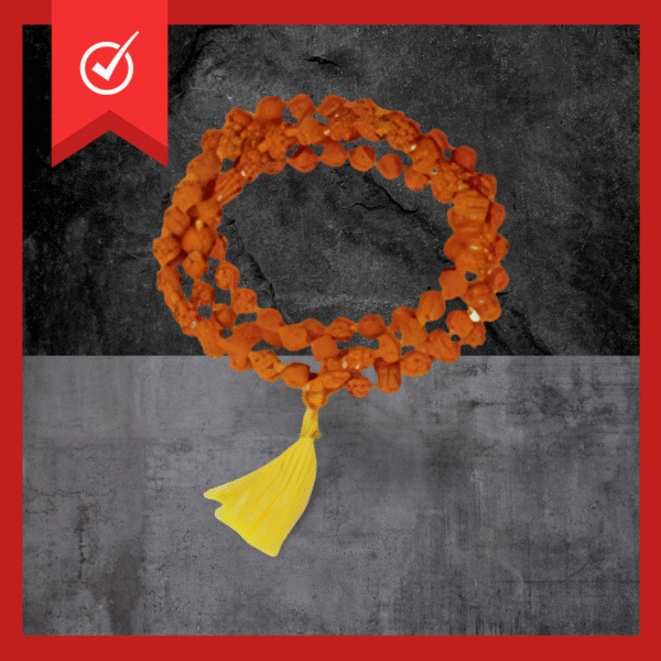 Rudraksha Maala (Lab Tested Only)